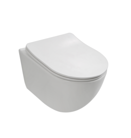 Linea Uno Ravius 53 - Glans wit - Toiletpot met zitting