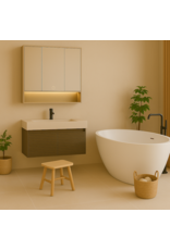 Linea Uno Eira 100 x 80 - Grijs - Spiegelkast