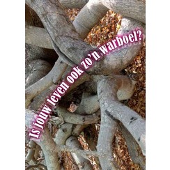 Traktaat: Is jouw leven ook zo'n warboel? ( 1 stks = set van 10 dezelfde traktaten)