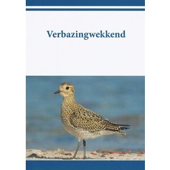 Traktaat: Verbazingwekkend. ( 1 stks = set van 10 dezelfde traktaten)