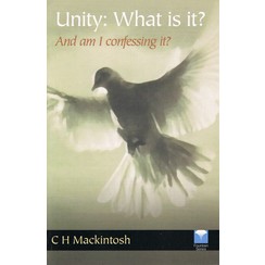 Unity, What is it?