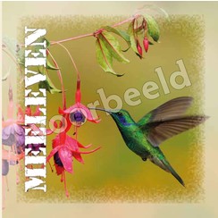 Dubbele luxe ansichtkaart 86-05 (per 1 stuk incl. enveloppe)