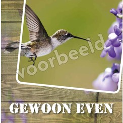 Dubbele luxe ansichtkaart 86-06 (per 1 stuk incl. enveloppe)