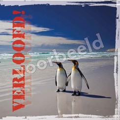 Dubbele luxe ansichtkaart 86-09 (per 1 stuk incl. enveloppe)