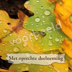 Dubbele luxe ansichtkaart 86-15 (per 1 stuk incl. enveloppe)