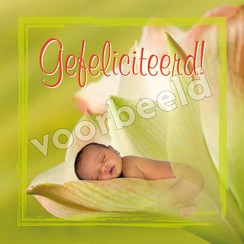 Dubbele luxe ansichtkaart 86-20