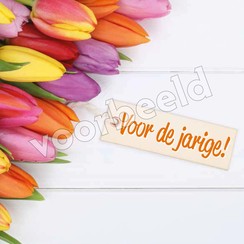 Dubbele luxe ansichtkaart 86-23 (per 1 stuk incl. enveloppe)