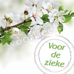 Dubbele luxe ansichtkaart 86-24