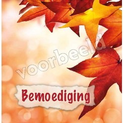 Dubbele luxe ansichtkaart 86-25