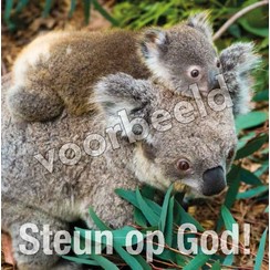 Dubbele luxe ansichtkaart 86-27