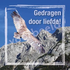 Dubbele luxe ansichtkaart 86-28 (per 1 stuk incl. enveloppe)