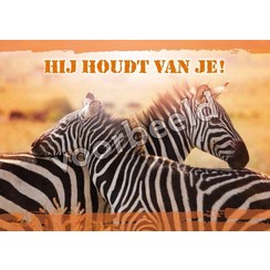 Ansichtkaart A6 luxe 83-02