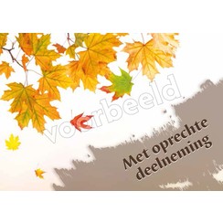 Ansichtkaart A6 luxe 83-17  (per 1 stuk incl. enveloppe)