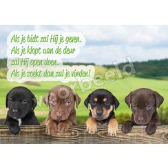 Ansichtkaart A6 luxe 83-28