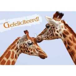 Ansichtkaart A6 luxe 83-29 (per 1 stuk)