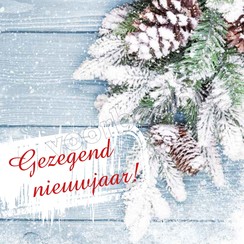 Enkelvoudige ansichtkaart 88-03 (1 stuk incl. enveloppe)