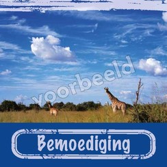 Enkelvoudige ansichtkaart 88-14 (1 stuk incl. enveloppe)