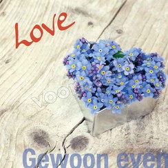 Enkelvoudige ansichtkaart 88-17 ( 1 stuk met enveloppe )