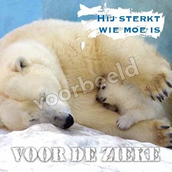 Enkelvoudige ansichtkaart 88-22 ( 1 stuk met enveloppe )