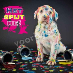 Enkelvoudige ansichtkaart 88-24 ( 1 stuk met enveloppe )