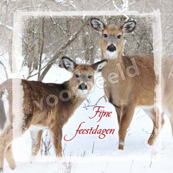 Enkelvoudige ansichtkaart 88-26