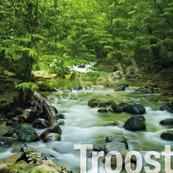 Enkelvoudige ansichtkaart 88-28