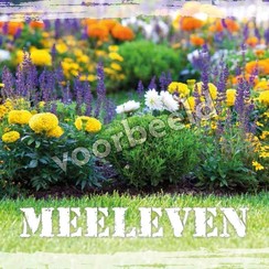 Enkelvoudige ansichtkaart 88-29 ( 1 stuk met enveloppe )