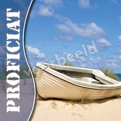 Enkelvoudige ansichtkaart 88-36