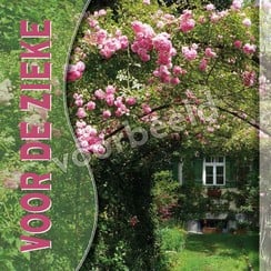 Enkelvoudige ansichtkaart 88-40 ( 1 stuk met enveloppe )