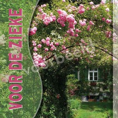 Enkelvoudige ansichtkaart 88-40