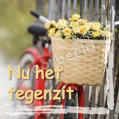 Enkelvoudige ansichtkaart 88-42