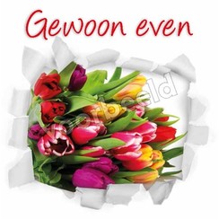 Enkelvoudige ansichtkaart 88-48 ( 1 stuk met enveloppe )