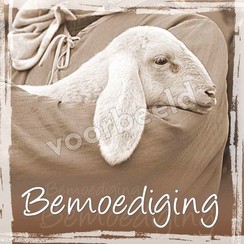 Enkelvoudige ansichtkaart 88-49