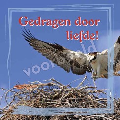 Enkelvoudige ansichtkaart 88-51 ( 1 stuk met enveloppe )