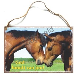Metalen wandbord A4 met de tekst: God houdt van jou!