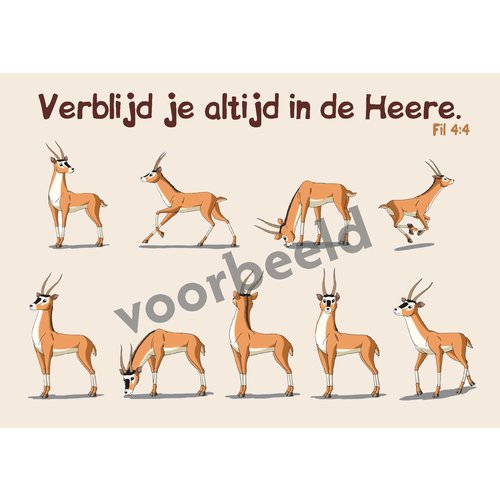 Dieren sticker kaartje met de tekst: Verblijd je altijd in de Heere Fil. 4:4 89-01