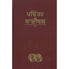 Bijbel Punjabi