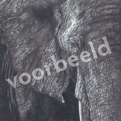 Vierkante luxe ansichtkaart 84-33 ( 1 stuk )