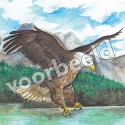 Vierkante luxe ansichtkaart 84-34 ( 1 stuk )