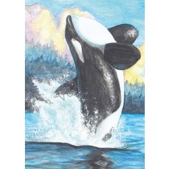 Ansichtkaart 89-21 op luxe papier (1 stuk)