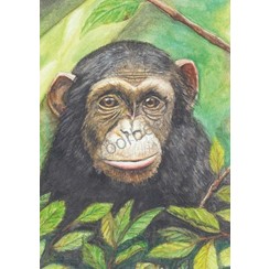 Ansichtkaart 89-23 luxe papier (1 stuk)