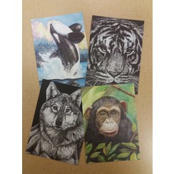 Mix-pakket met 4 verschillende ansichtkaarten luxe papier serie 89