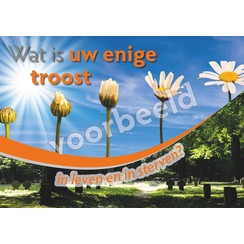 Traktaat: Wat is uw enige troost ( 1 stuk = set van 10 dezelfde traktaten)
