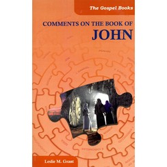 Comments on the book of John