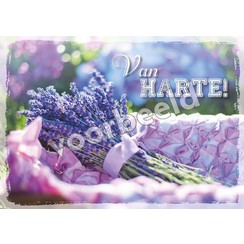 Enkelvoudige ansichtkaart 89-55 zonder Bijbeltekst