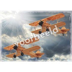 Enkelvoudige ansichtkaart 91-22, zonder Bijbeltekst