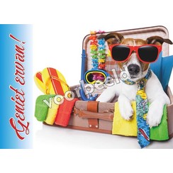 Enkelvoudige ansichtkaart 91-30, zonder Bijbeltekst