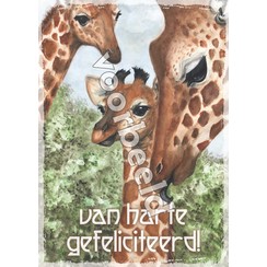 Enkelvoudige ansichtkaart 91-32, zonder Bijbeltekst