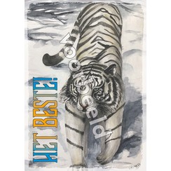 Enkelvoudige ansichtkaart 91-35, zonder Bijbeltekst