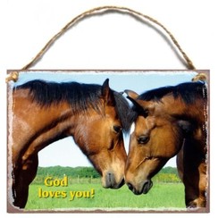 A4 metal wall hanging sign/metalen wandbord met de tekst:  God loves you